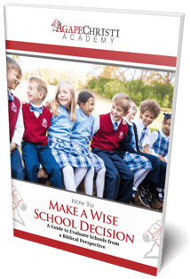 How To Make A Wise School Decision: A Guide To Evaluate Schools from A Biblical Perspective 